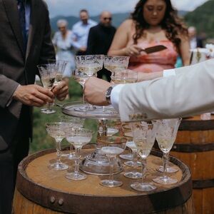 Set of 8 Vintage Etched Glass Champagne Glasses
